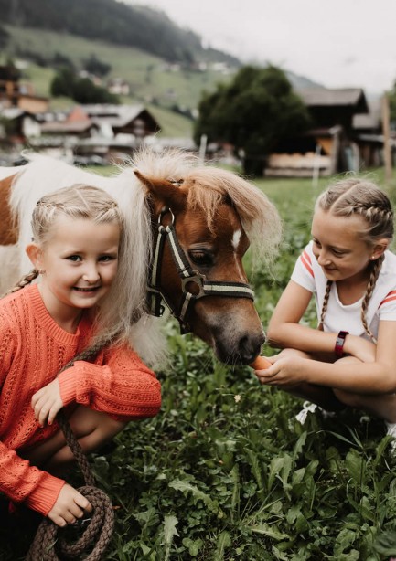 Kinder beim Pferde streicheln