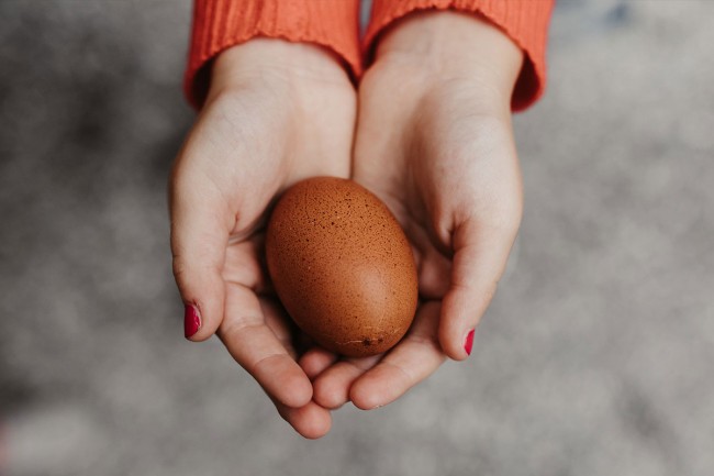 Hol dir jeden Morgen dein eigenes Frühstücksei ab