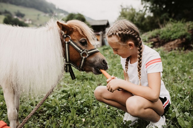 Unsere Zwergponys freuen sich auf leckere Karotten