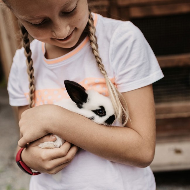 Kind streichelt kleinen Babyhasen auf der Auli's Ranch