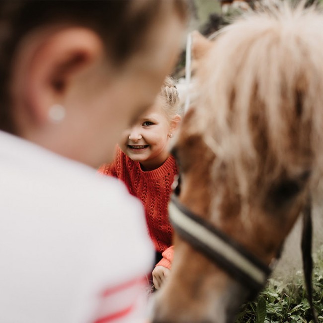 Ponytag auf der Auli's Ranch