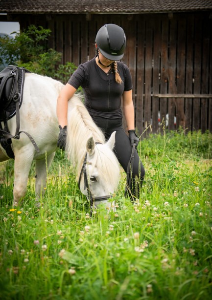 A horse is eating fresh grass