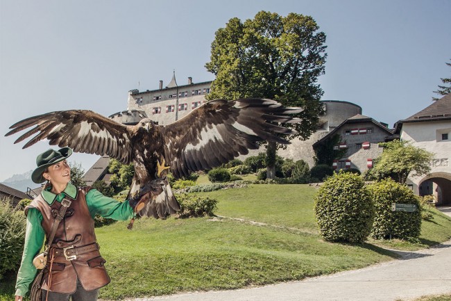 Greifvogelschau auf der Burg Hohenwerfen © SalzburgerLand Tourismus