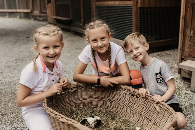 Streichelzoo Auli's Ranch beim Hotel