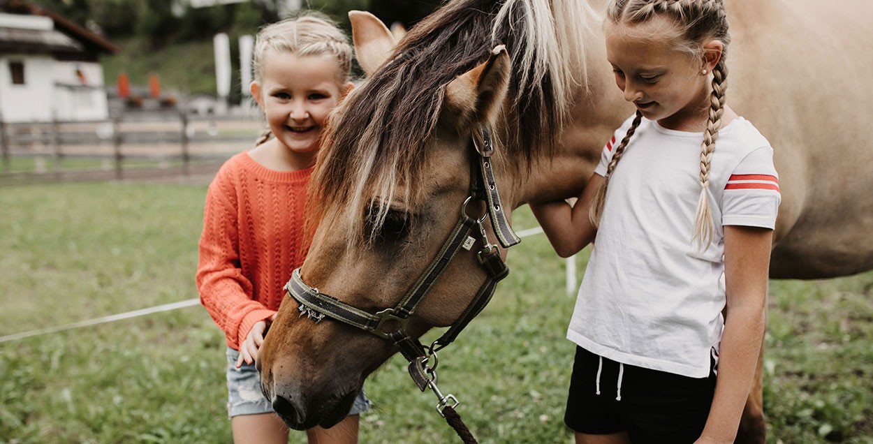 Children grooming horses & ponies