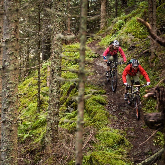 Mountain biking in the forests of Grossarl © SalzburgerLand Tourismus