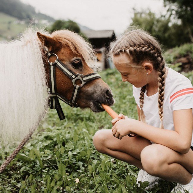 Kind füttert Mini Pony auf der Auli's Ranch