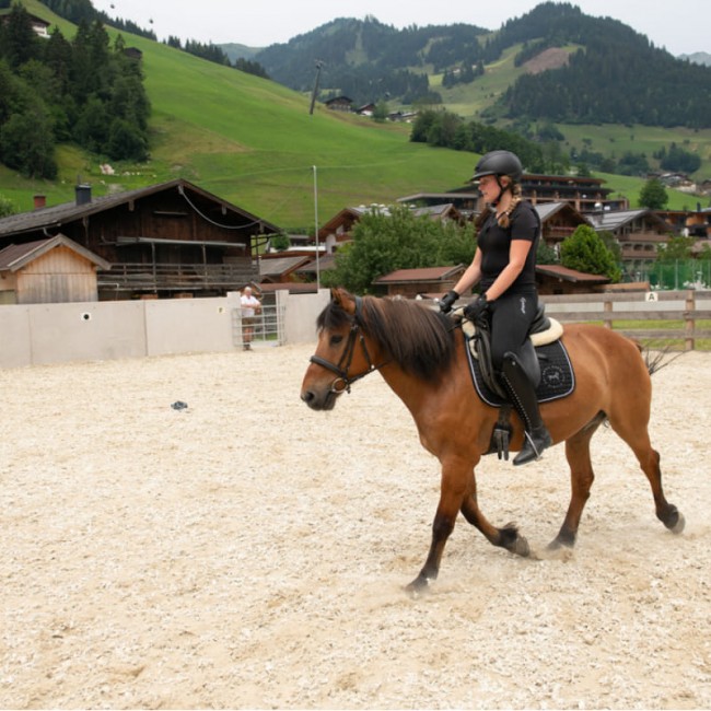 Reiten lernen im Auhof Gro&szlig;arl