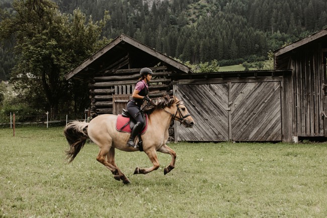 Ausreiten mit Pferden im Auhof