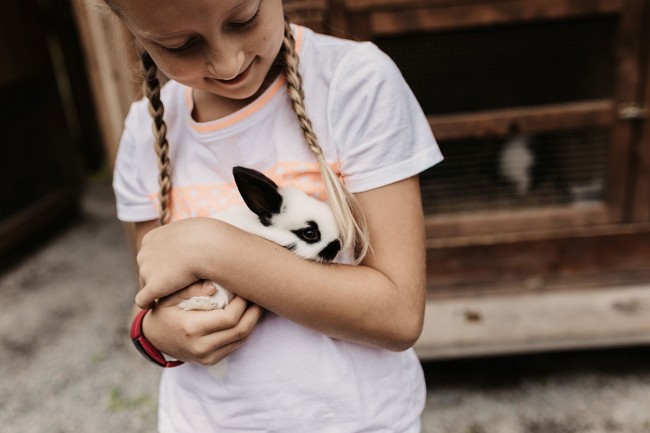 Häschen auf Auli's Ranch