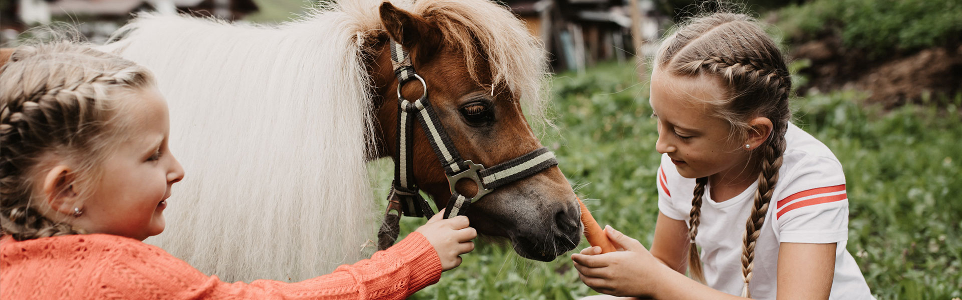 Familienurlaub mit Ponyreiten in Großarl