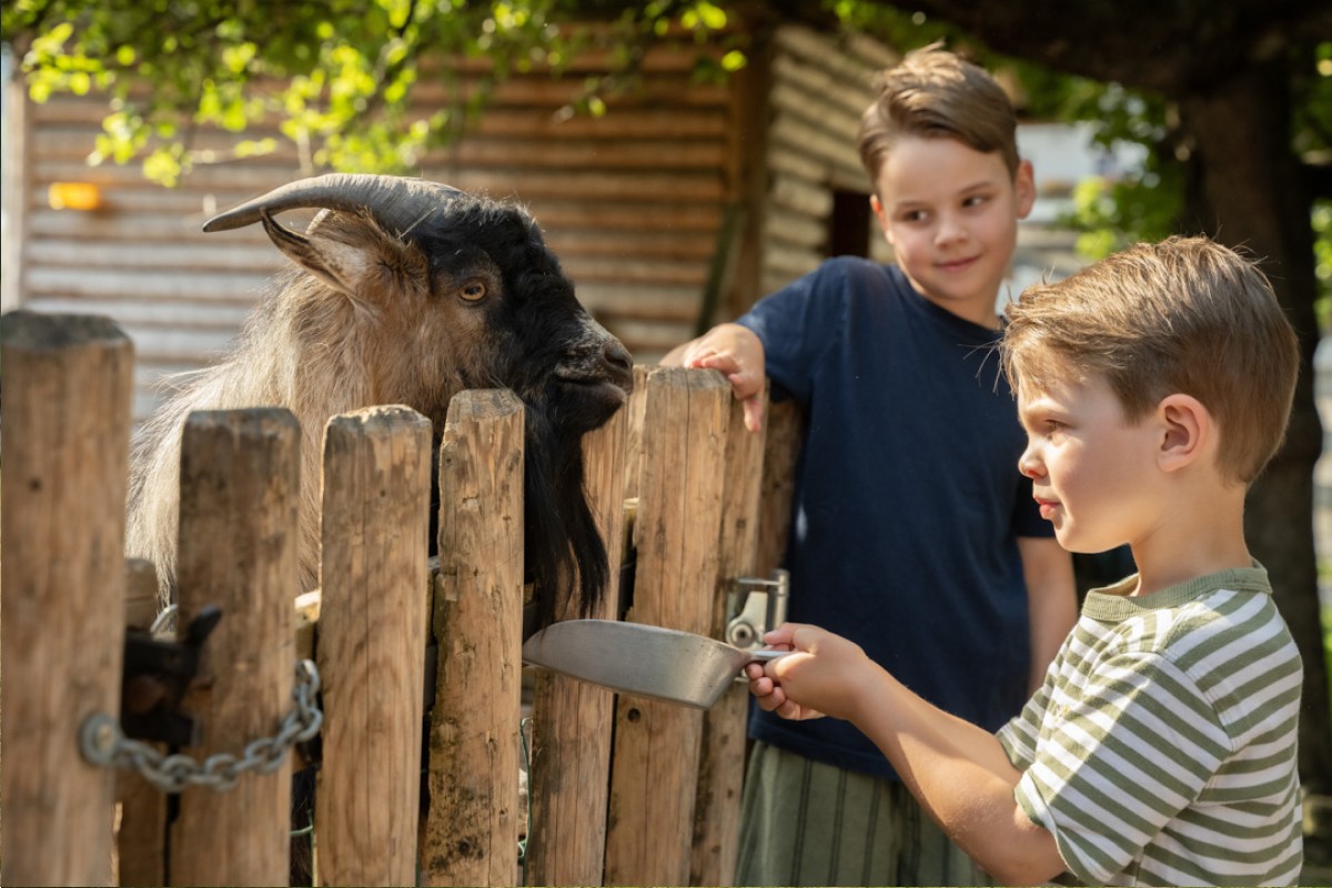 2 Jungs f&uuml;ttern eine Ziege