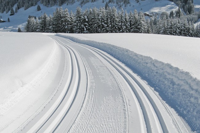 Klassische-und Skatingloipe