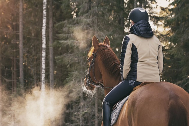 Reiten im Winter